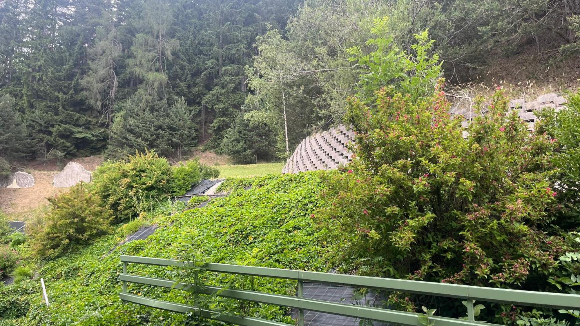 Hotel Saxl Campo di Trens Exteriör bild
